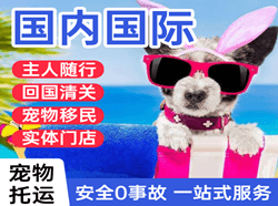 临汾空运地址国际宠物托运 【国